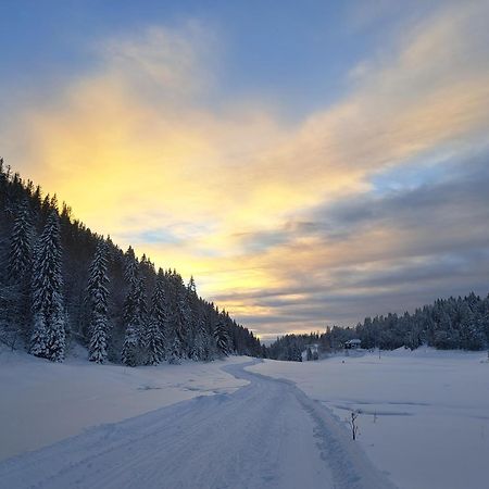 Au Coeur Du Lapidaire Septmoncel-Les-Molunes Eksteriør bilde