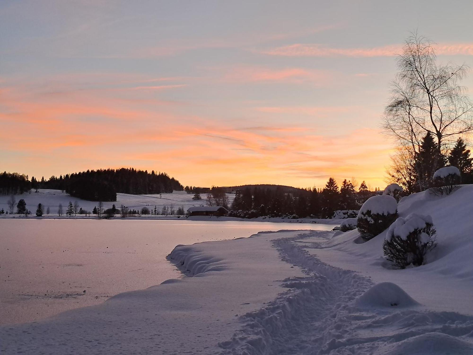 Au Coeur Du Lapidaire Septmoncel-Les-Molunes Eksteriør bilde