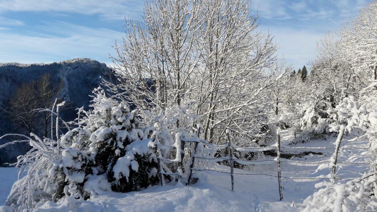 Au Coeur Du Lapidaire Septmoncel-Les-Molunes Eksteriør bilde