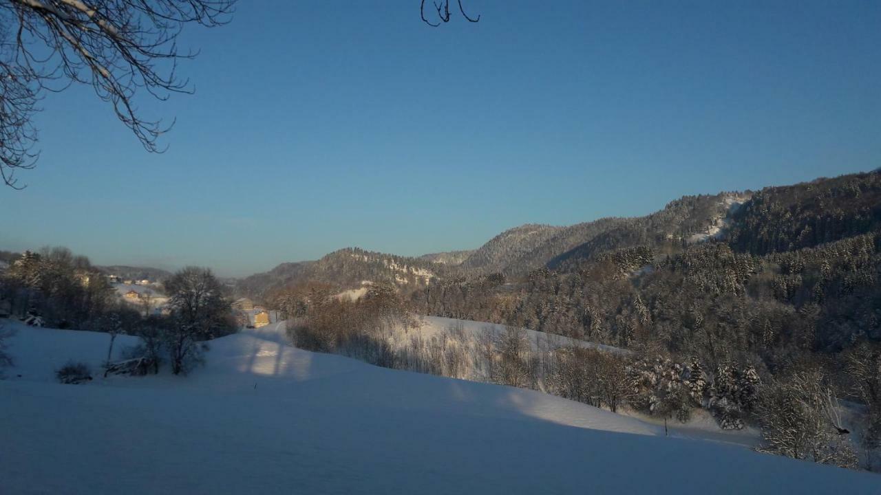 Au Coeur Du Lapidaire Septmoncel-Les-Molunes Eksteriør bilde
