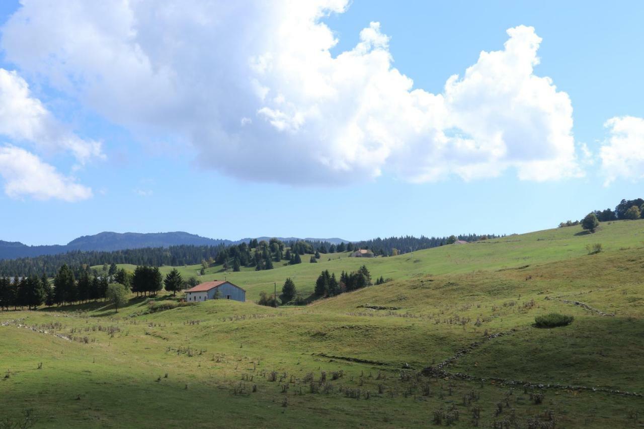 Au Coeur Du Lapidaire Septmoncel-Les-Molunes Eksteriør bilde