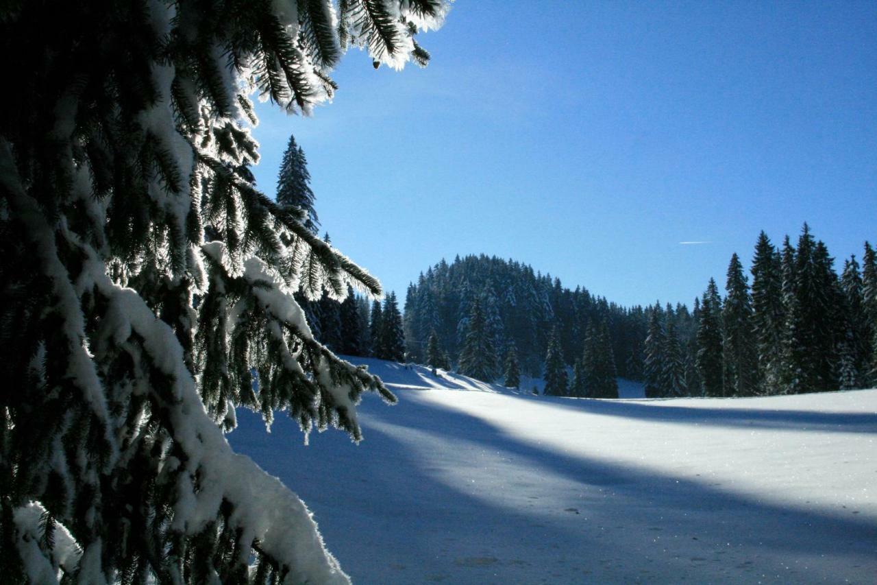 Au Coeur Du Lapidaire Septmoncel-Les-Molunes Eksteriør bilde