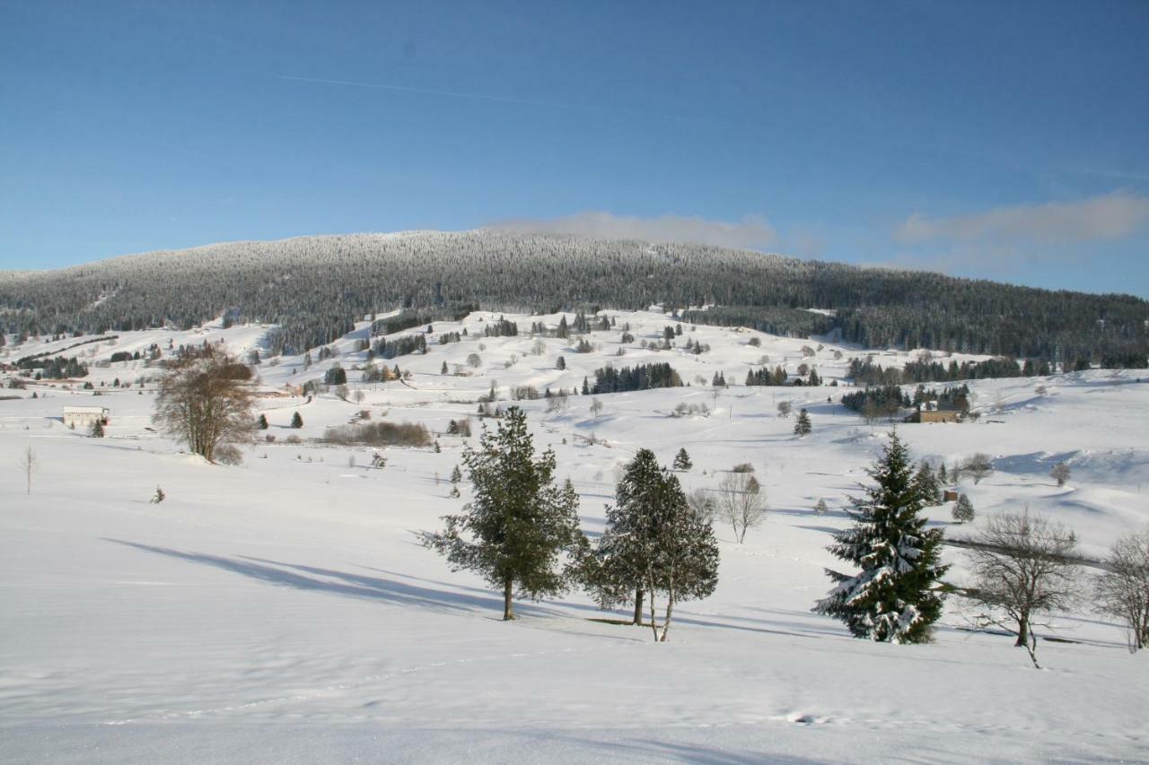 Au Coeur Du Lapidaire Septmoncel-Les-Molunes Eksteriør bilde