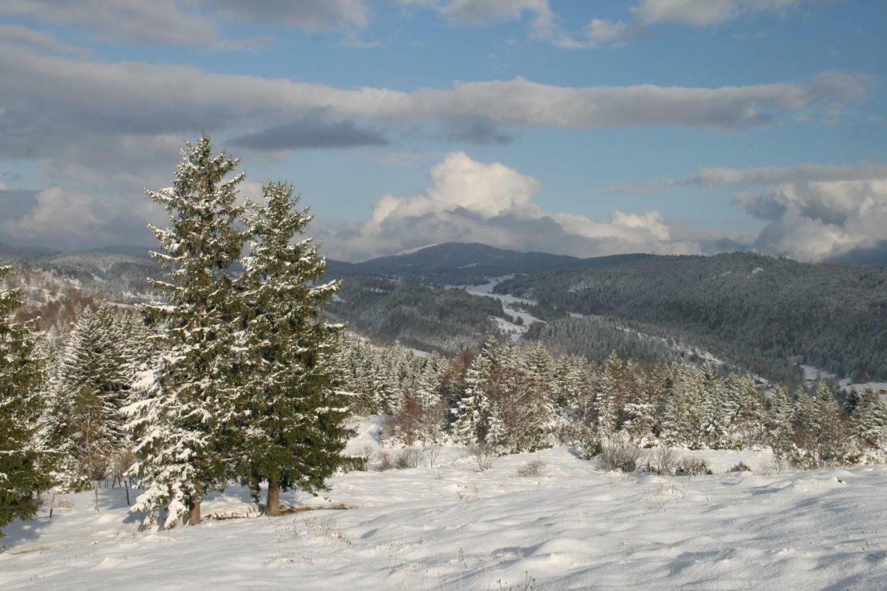Au Coeur Du Lapidaire Septmoncel-Les-Molunes Eksteriør bilde