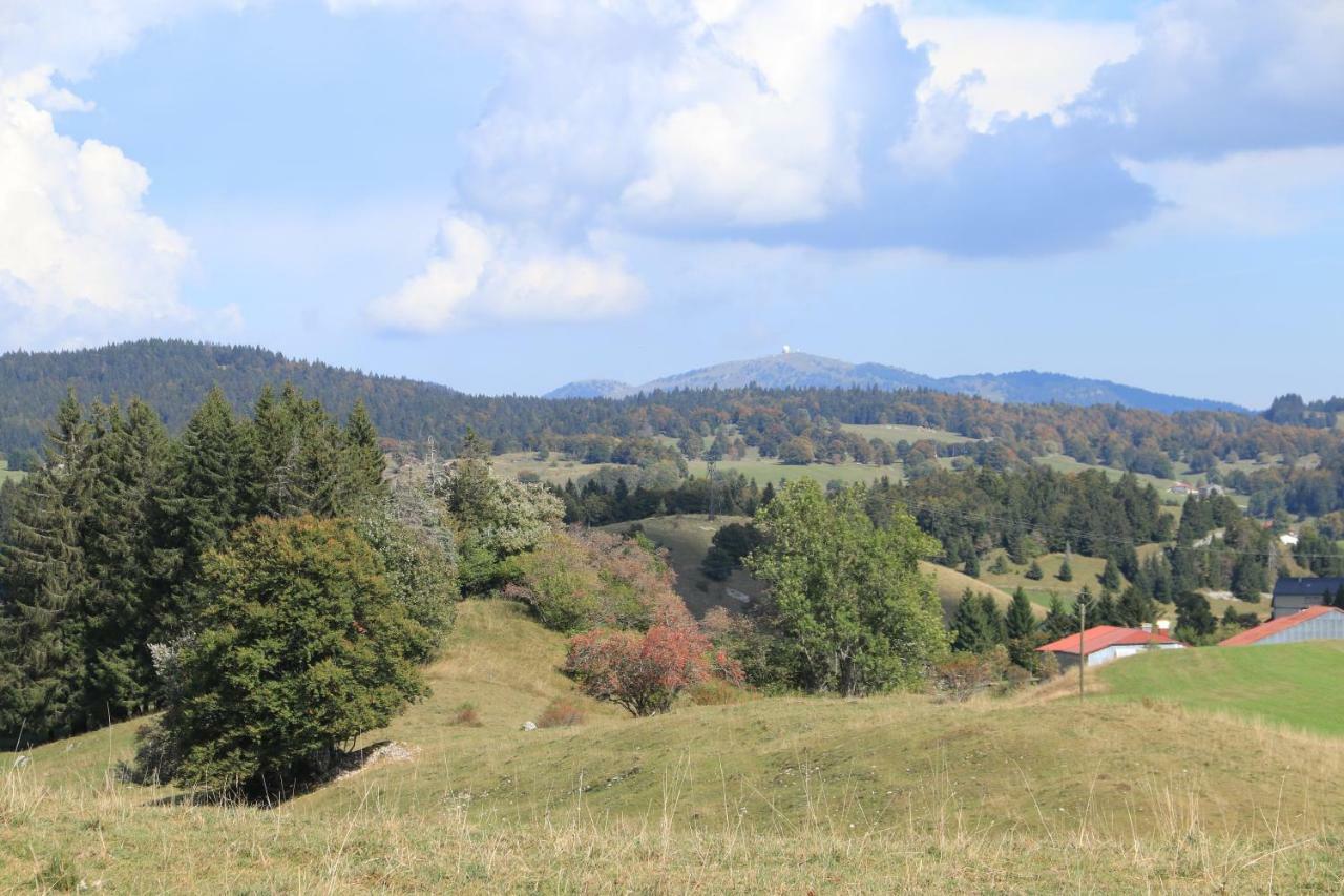 Au Coeur Du Lapidaire Septmoncel-Les-Molunes Eksteriør bilde