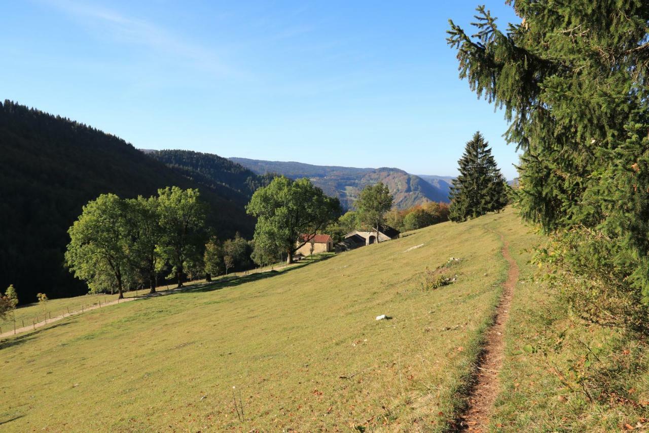 Au Coeur Du Lapidaire Septmoncel-Les-Molunes Eksteriør bilde