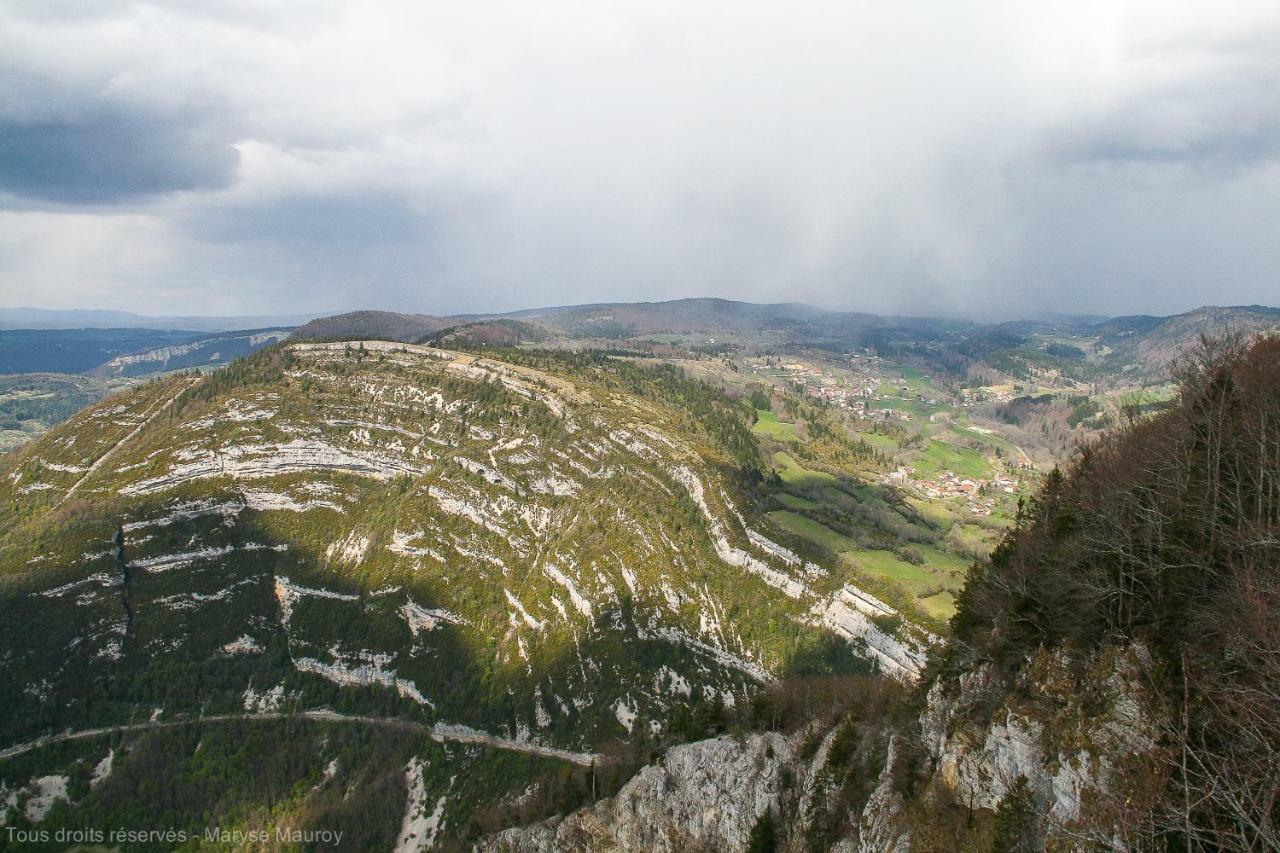 Au Coeur Du Lapidaire Septmoncel-Les-Molunes Eksteriør bilde