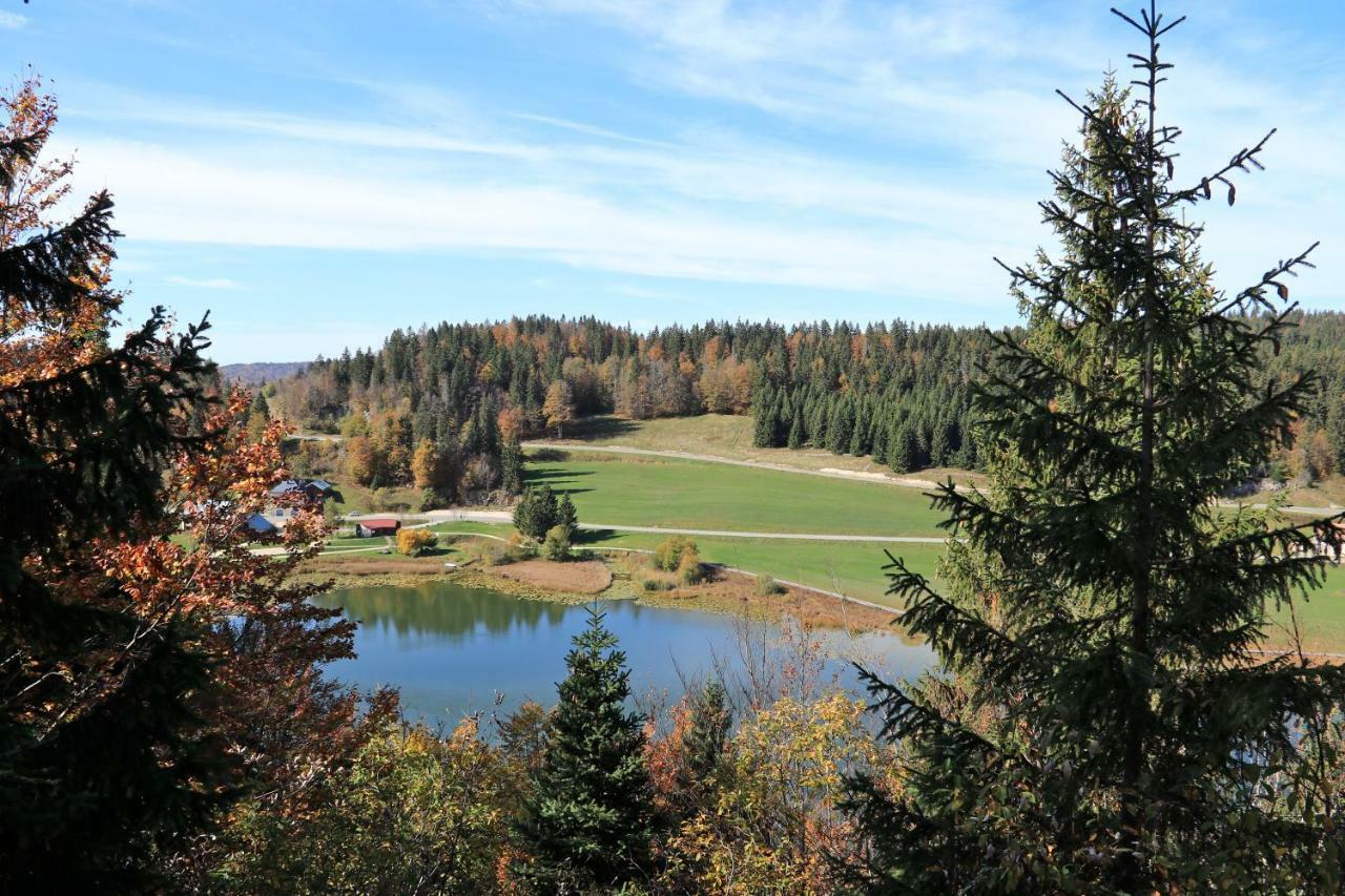 Au Coeur Du Lapidaire Septmoncel-Les-Molunes Eksteriør bilde