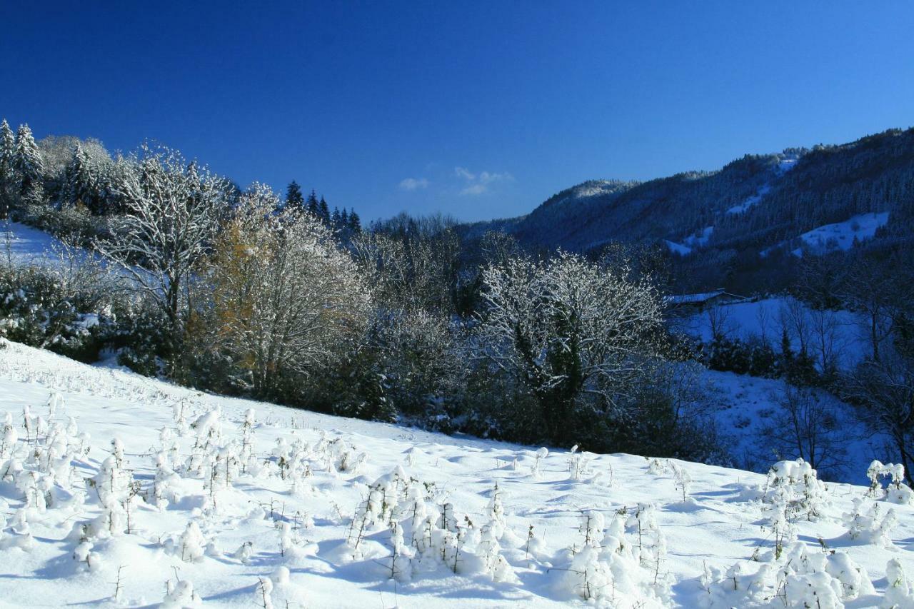 Au Coeur Du Lapidaire Septmoncel-Les-Molunes Eksteriør bilde
