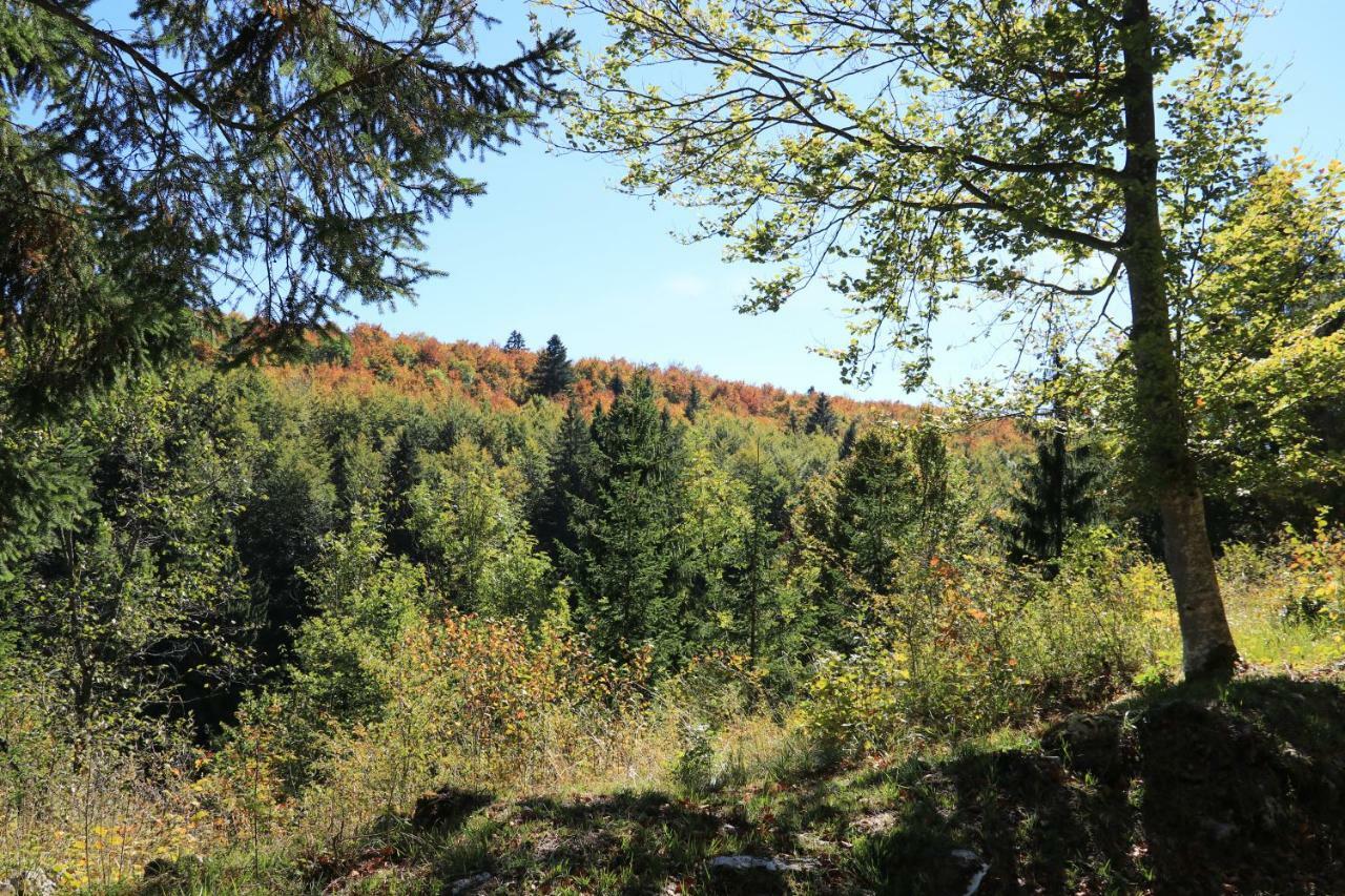Au Coeur Du Lapidaire Septmoncel-Les-Molunes Eksteriør bilde